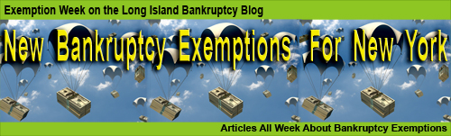 Exemptions used in New York bankruptcy filings.