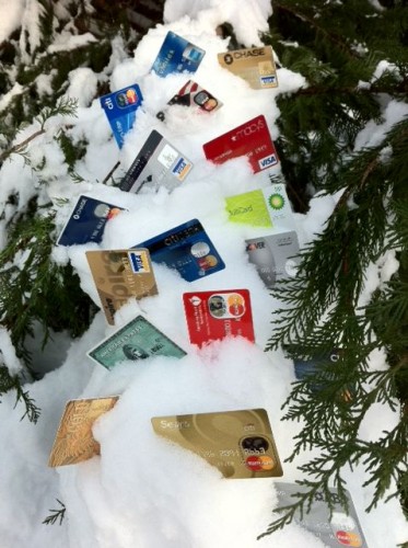 credit-cards-in-the-snow-on-the-pine-tree1